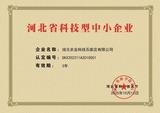 Technology-based SME