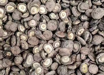 Dried Shiitake