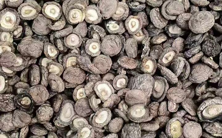 Dried Shiitake