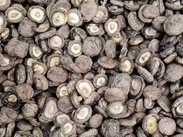 Dried Shiitake